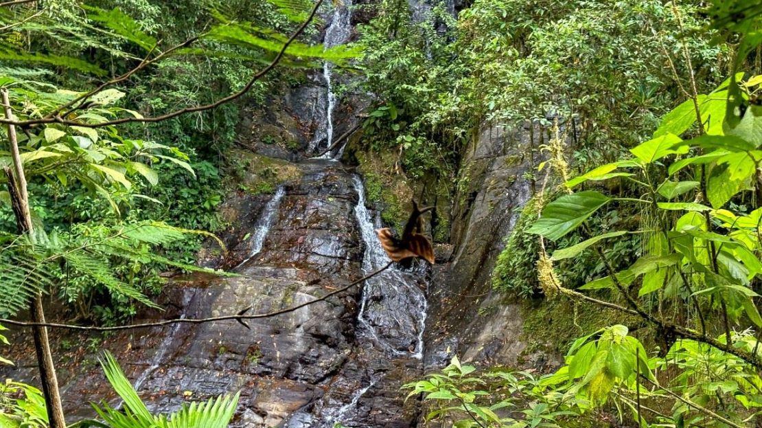 Costa Rica Real Estate