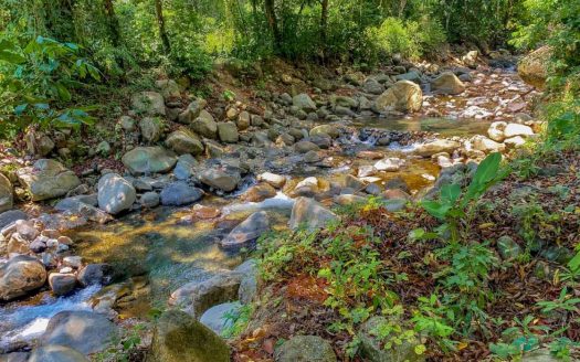 2.46 Acre Jungle Land for Sale in Ojochal with River Border