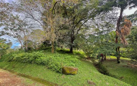 Ojochal