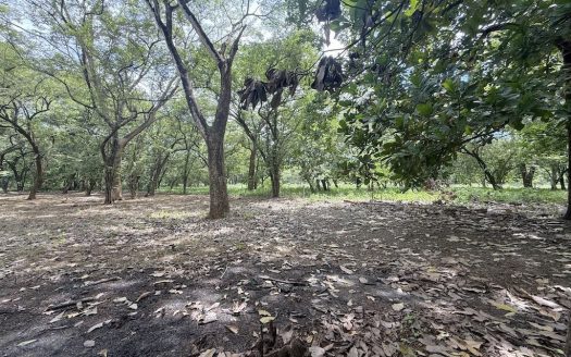 PRICED TO SELL FAST at $30/m2 ~ Flat Riverfront Lot Near Playa Junquillal