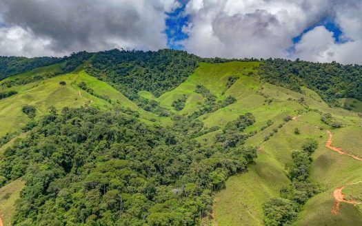 Fully Immersive Experience In The Deep Rainforest Of Southern Costa Rica