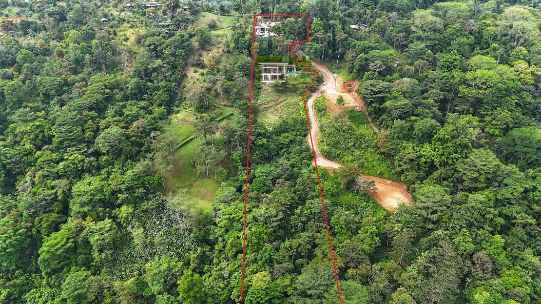 A Huge Rainforest