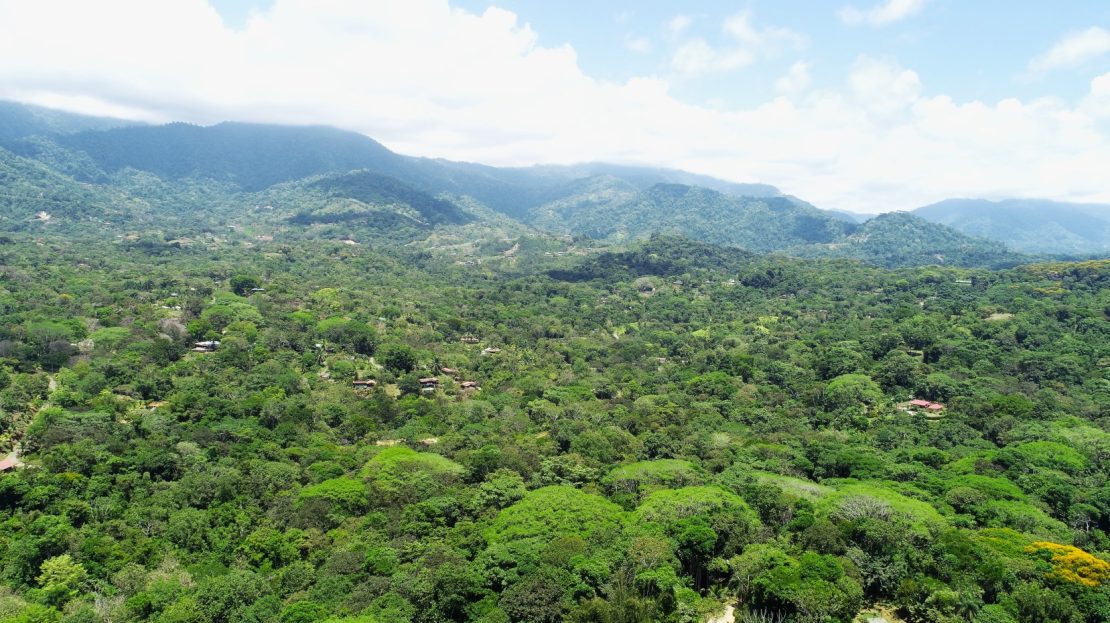 Ojochal