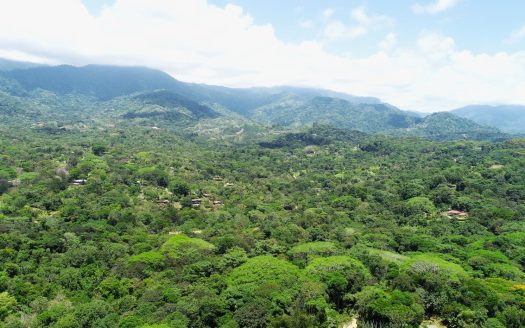 Ojochal