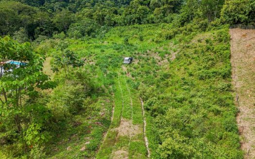 An impressive, elevated 4.1-acre ocean, sunset and mountain view lot in the jungle-clad, sough-after hilly neighborhood