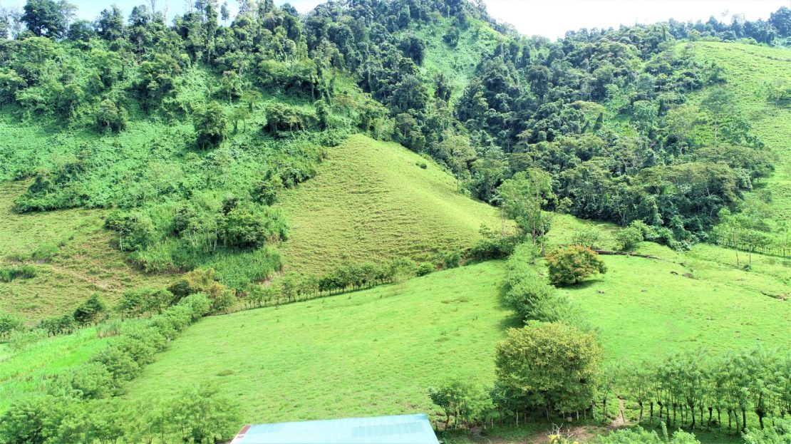 204 Acre Expansive and Remote Paradise!