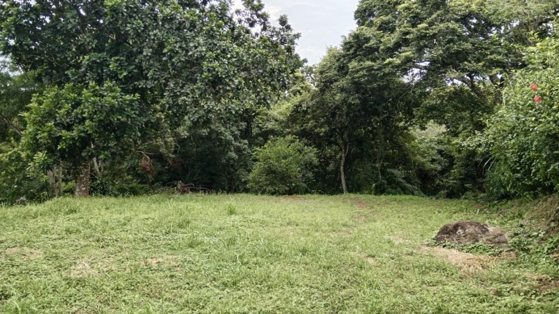 Costa Rica Real Estate