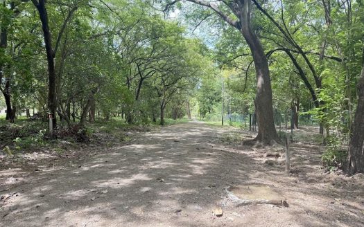 Playa Junquillal