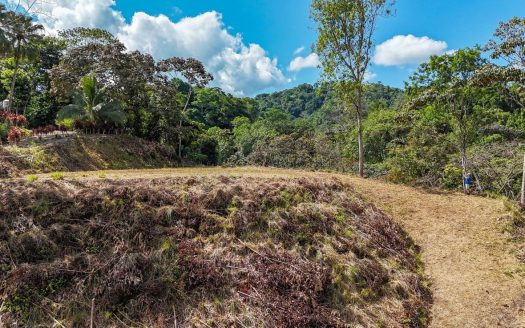 An elevated 1.2 acres lot with two plantels, panoramic mountain and jungle views