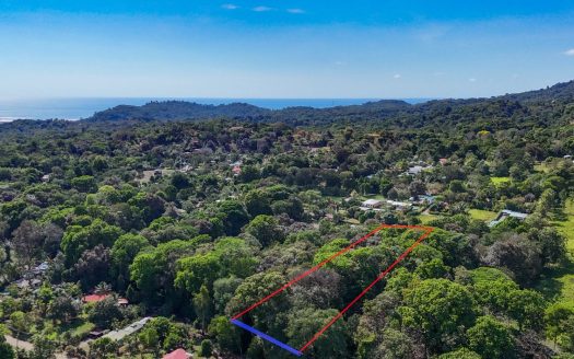 A large jungle-clad piece of land with mountain views, internal creek, and river frontage