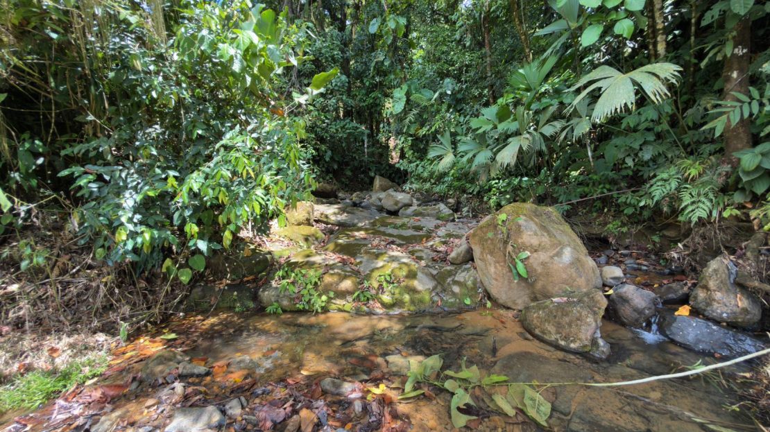 Costa Rica Real Estate