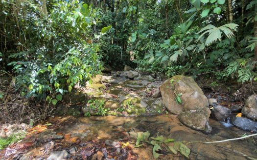 Stunning 38 Hectares Land for Sale Perez Zeledon Costa Rica
