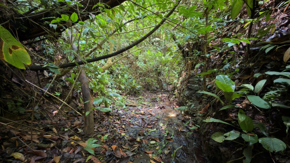 Stunning 38 Hectares Land for Sale Perez Zeledon Costa Rica