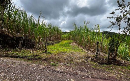 Serene San Blas Estate for Sale: 1.2 Acres with Creek