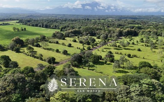 Flat lot for sale in a community in San Mateo Alajuela.
