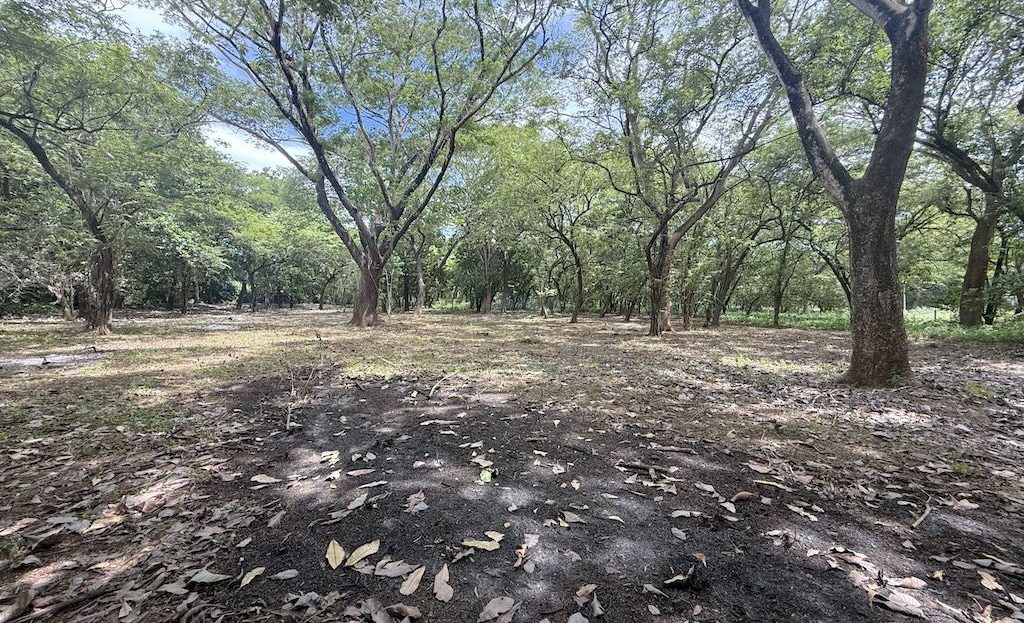 PRICED TO SELL FAST at $30/m2 ~ Flat Riverfront Lot Near Playa Junquillal