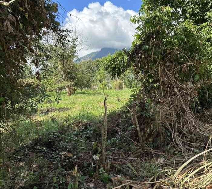 Over 3 Acres
