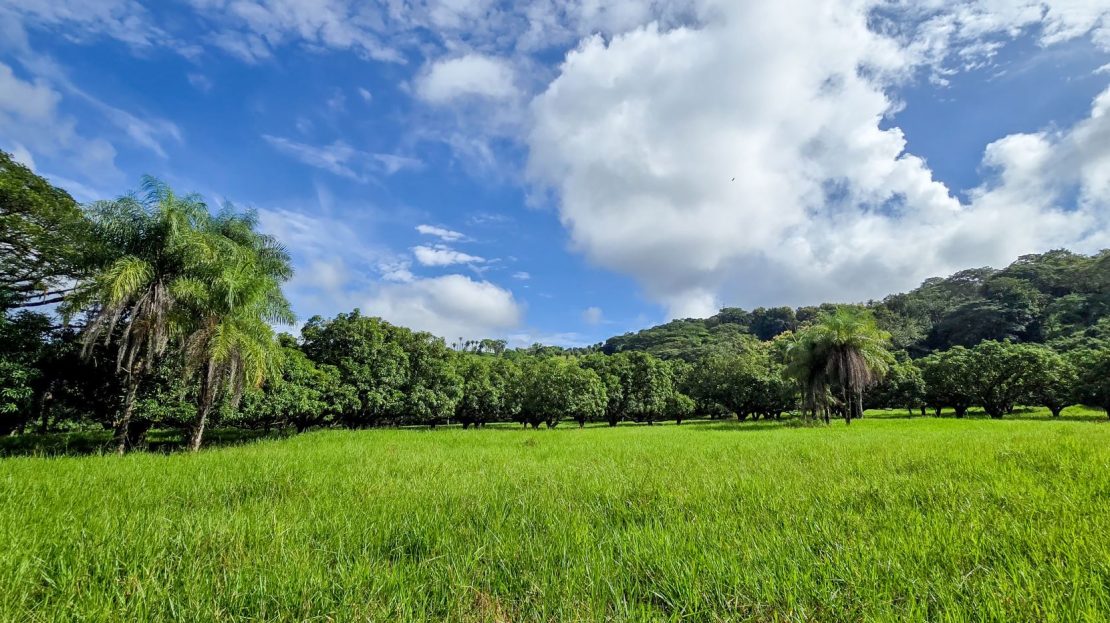 Costa Rica Real Estate