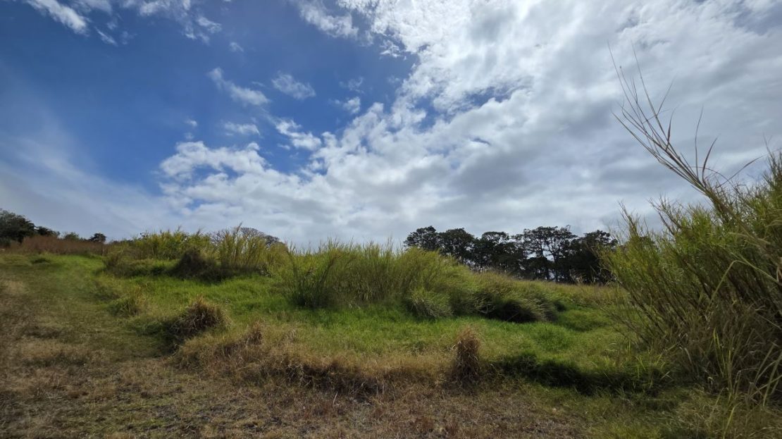 Lot for Sale in Private Development in San Rafael