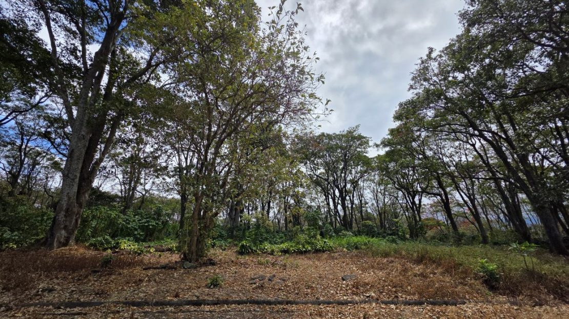 Lot for Sale in Private Development in San Rafael