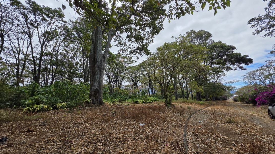Costa Rica Real Estate
