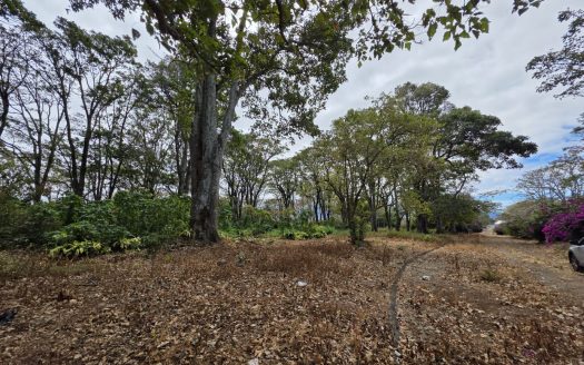 Lot for Sale in Private Development in San Rafael, Heredia – 75,347 ft² (1.73 acres) | Tranquility, Nature and Convenience