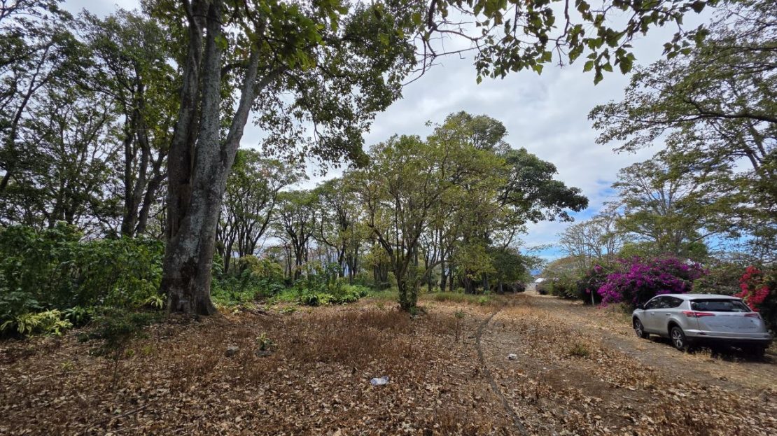 347 ft² (1.73 acres) | Tranquility