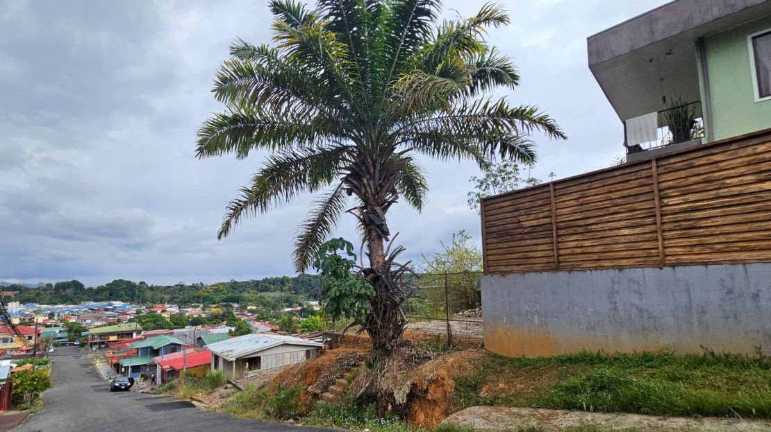 Costa Rica Real Estate