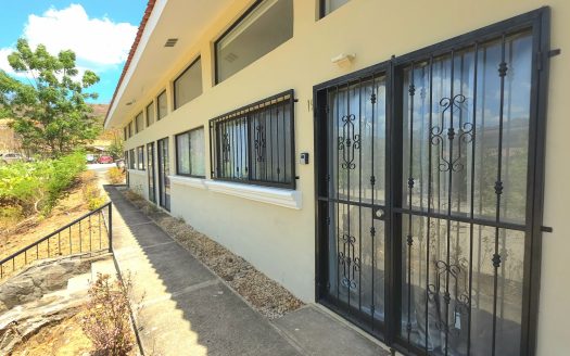 Pura Vida 19