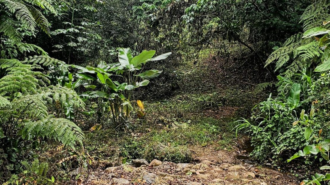 Costa Rica Real Estate