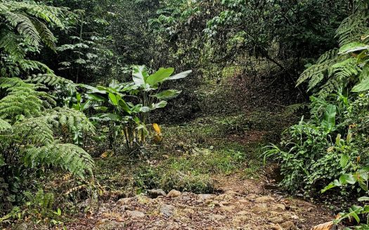 Beautiful Riverside Property in La Tigra – Great Value at ¢55,000,000