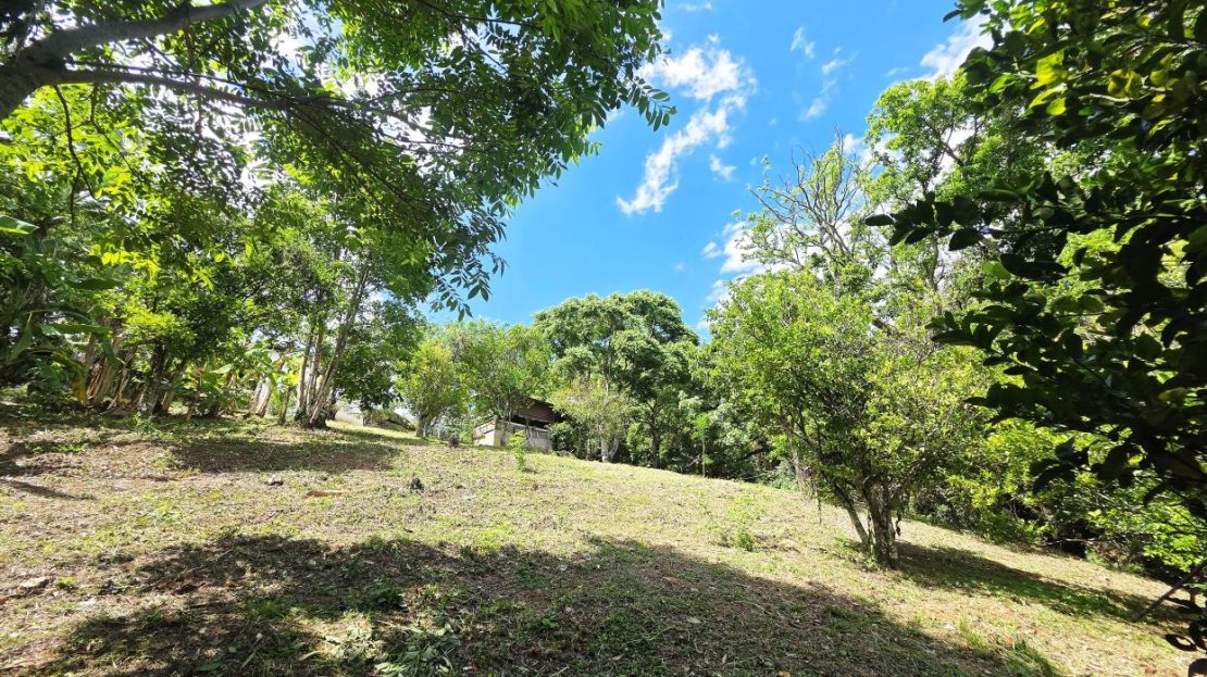 Costa Rica Real Estate