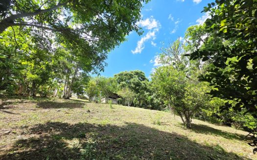 High-Potential Land in Piedades, Santa Ana – 0.54 acres | High-Value Zone with Sustained Growth