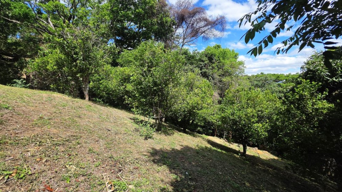 High-Potential Land in Piedades
