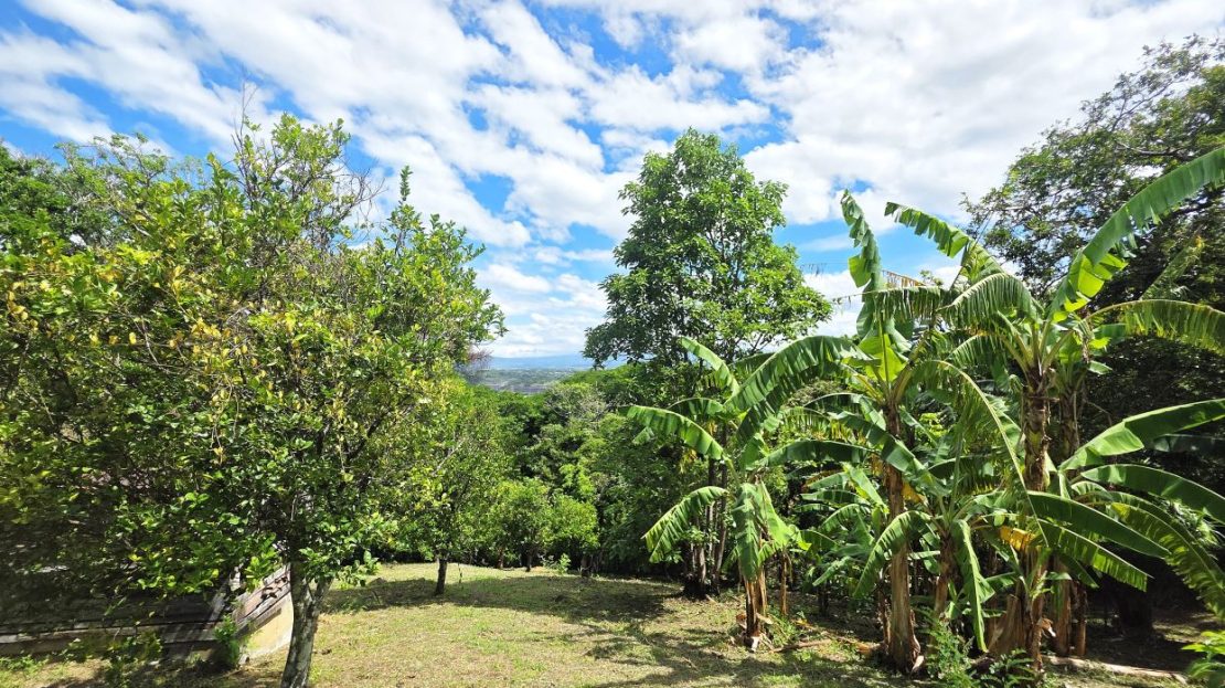 Santa Ana – 0.54 acres | High-Value Zone with Sustained Growth
