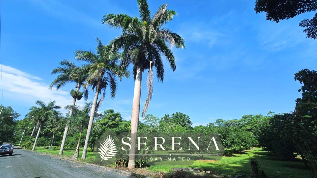 Flat lot for sale in a community in San Mateo Alajuela.