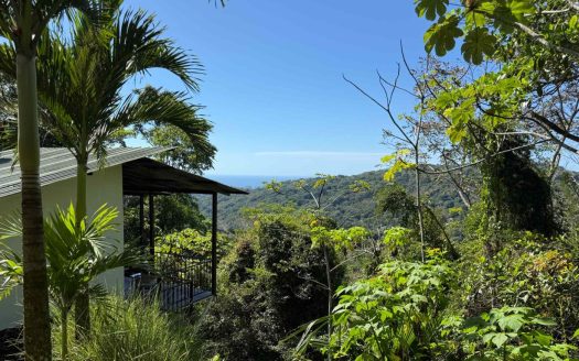 Dominical