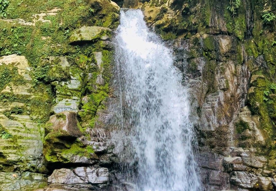 Finca BellaVista – Fully Immersive Experience In The Deep Rainforest Of Southern Costa Rica!