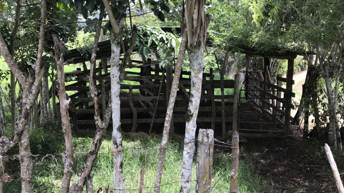 Costa Rica Real Estate