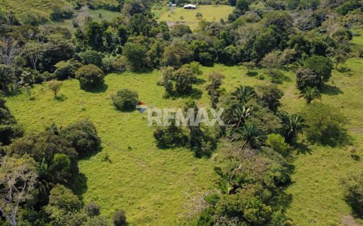 Flat Cattle Farm for sale in Perez Zeledon