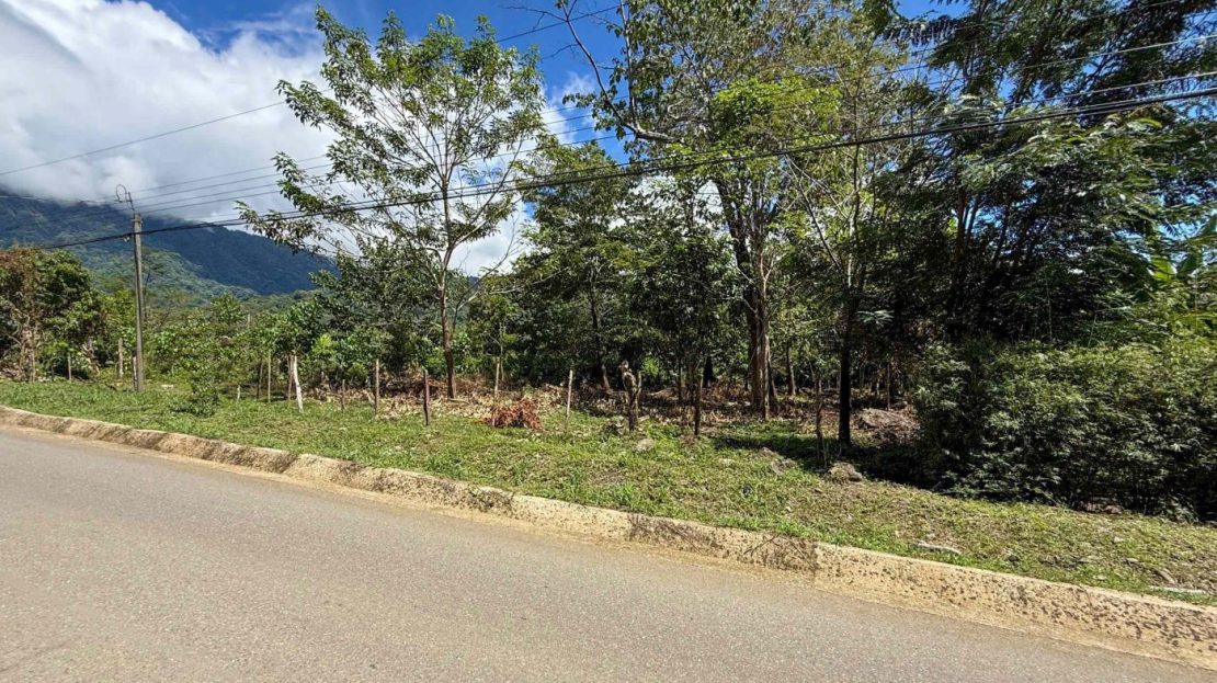 Costa Rica Real Estate