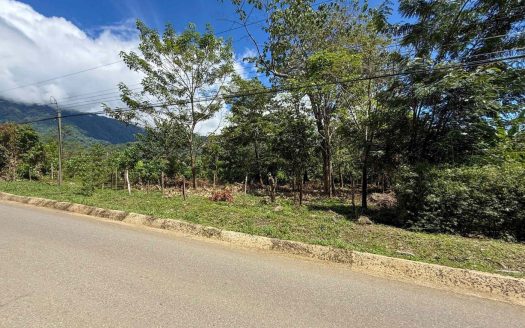 Easy-Access Building lot with Paved Road Access & All Utilities Available on a Flat Half-Acre in Ojochal Costa Rica