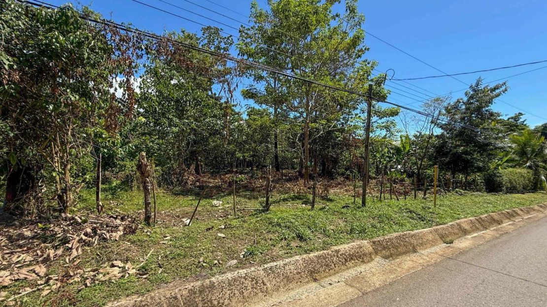 Easy-Access Building lot with Paved Road Access & All Utilities Available on a Flat Half-Acre in Ojochal Costa Rica