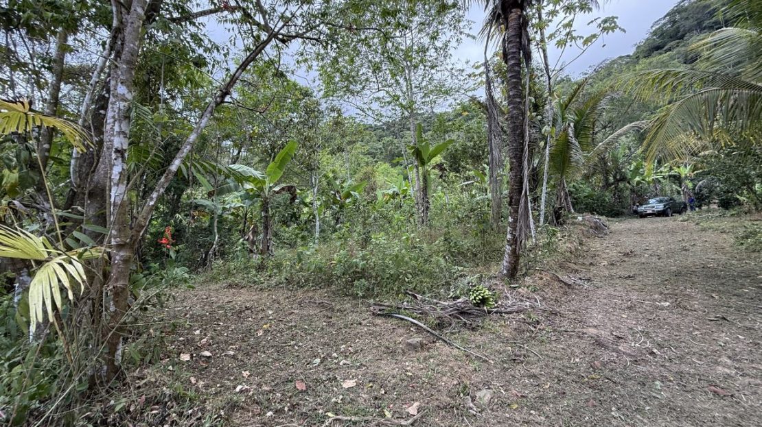 uvita
