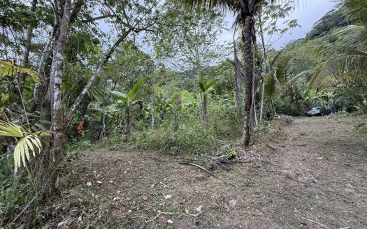 uvita