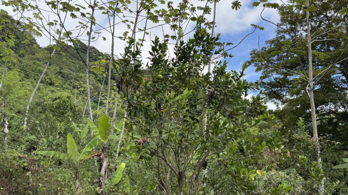Electricity on Public Road with Big Valley & Mountain Views near San Josecito Costa Rica