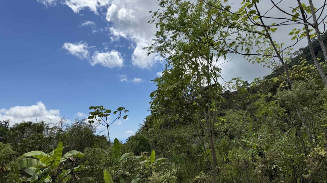 Electricity on Public Road with Big Valley & Mountain Views near San Josecito Costa Rica