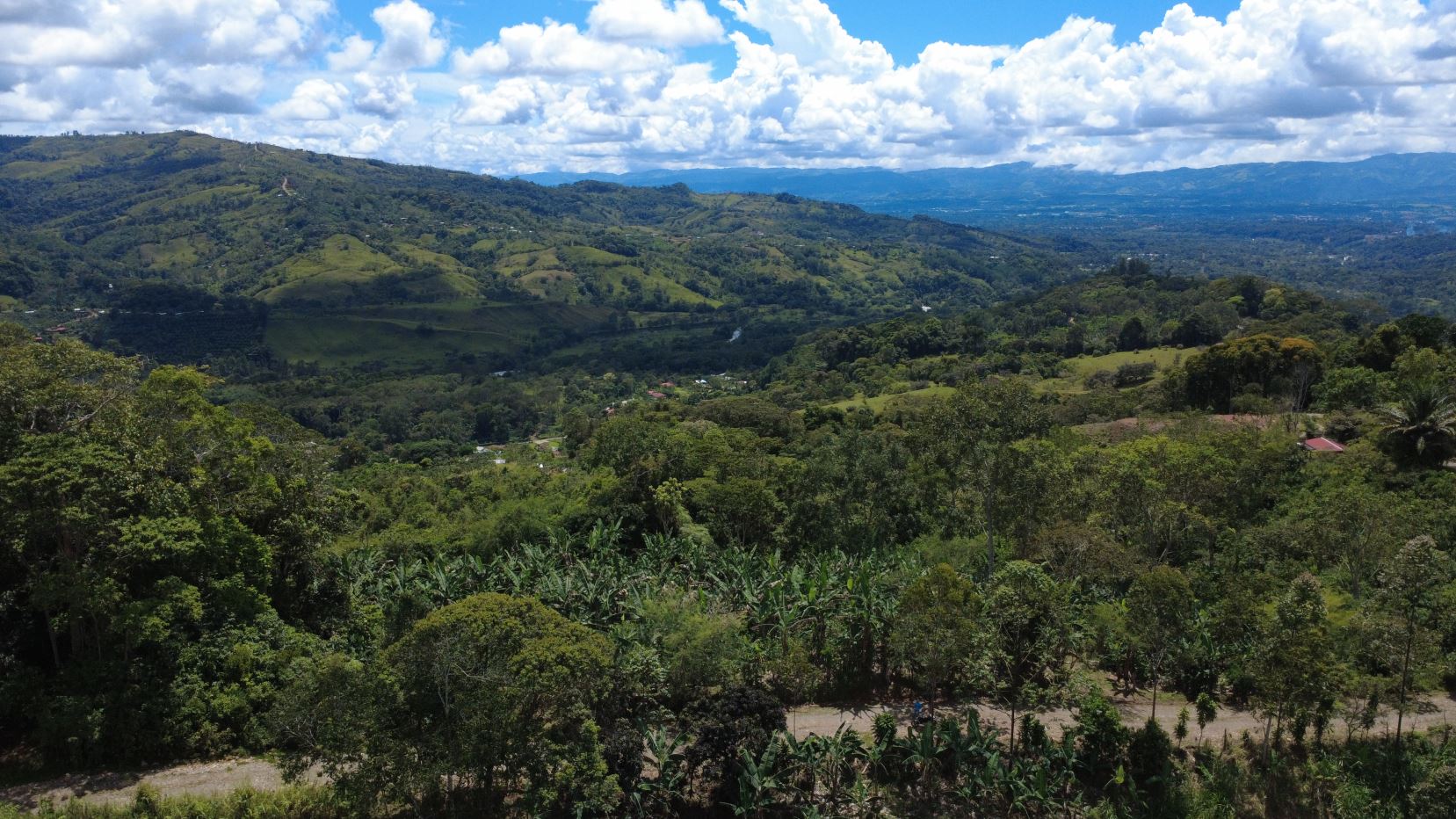 Land For Sale In La Fila, Rivas - Coffee And Banana Farm Near Chirripó