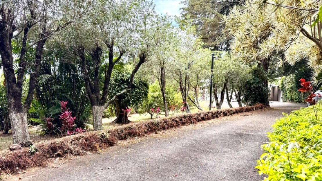 Costa Rica Real Estate