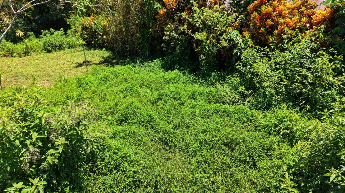 Beautiful Buildable Land with high Aggregated Potential in Cajon.